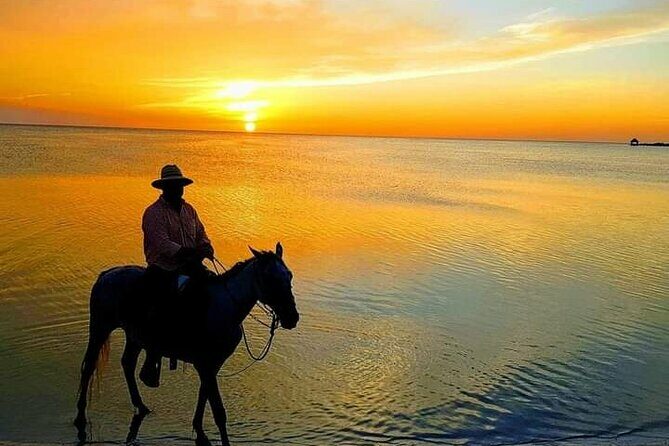 Horseback Riding on the Beaches of Holbox - Detailed Review of the Horseback Riding Experience in Holbox