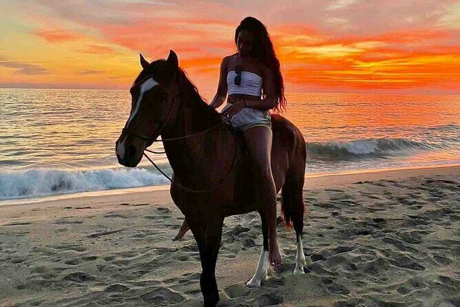 Horseback Riding on the Beaches of Holbox - Who Will Enjoy This Tour Most?