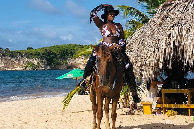 Horseback Riding on the Stunning Beaches of Punta Cana - Accessibility and Participation