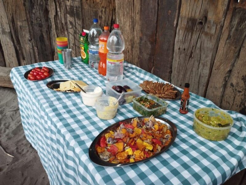 Horseback Riding, Penguins, Winery, Alpacas & Cowboy BBQ - Transportation and Amenities