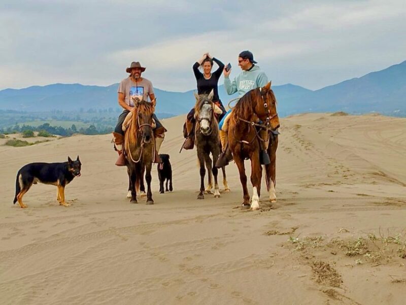 Horseback Riding, Penguins, Winery, Alpacas & Cowboy BBQ - Wine Tasting at Casa Blanca