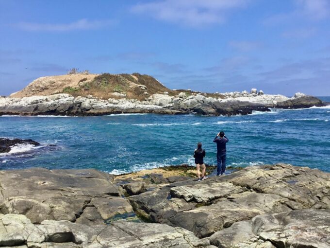 Horseback Riding, Penguins, Winery, Alpacas & Cowboy BBQ - Cowboy BBQ Lunch