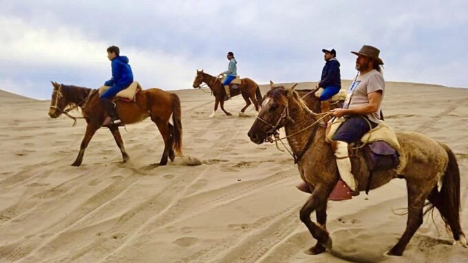 Horseback Riding, Penguins, Winery, Alpacas & Cowboy BBQ - Frequently Asked Questions