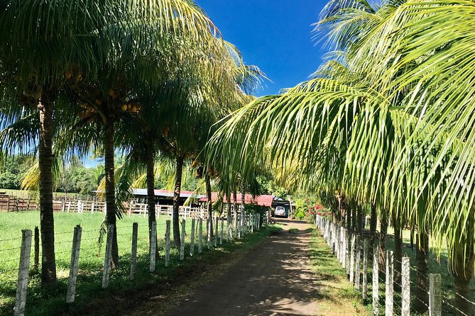Horseback Riding Private Tour - Location and Rating