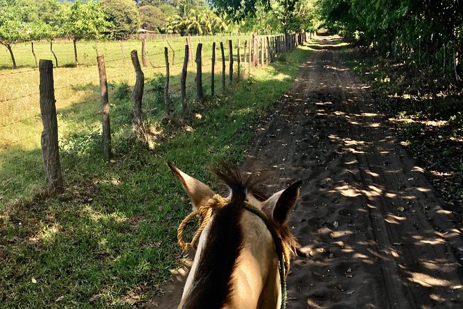 Horseback Riding Private Tour - Tour Inclusions
