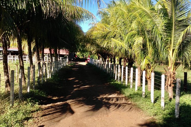 Horseback Riding Private Tour - Pickup Information