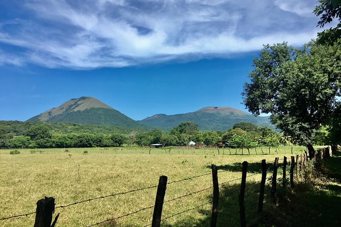 Horseback Riding Private Tour - Experience Highlights