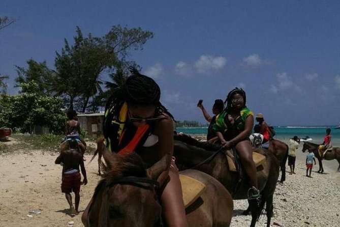 Horseback Riding & Swim in the Ocean, Bluehole Falls [Ocho Rios ] - Reviews and Ratings