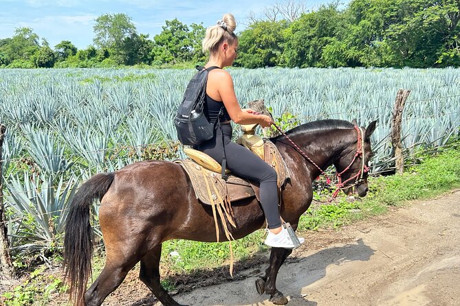 Horseback Riding: Tequila Tasting, Mex BBQ & Margaritas - Scenic Horseback Ride