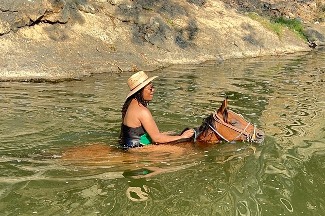 Horseback Riding: Tequila Tasting, Mex BBQ & Margaritas - Tequila Tasting Experience