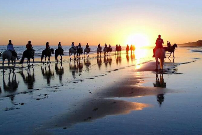Horseback Riding Through Doñana and Visit of El Rocio - Private Tour - Cancellation Policy