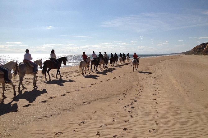 Horseback Riding Through Doñana and Visit of El Rocio - Private Tour - Questions and Assistance