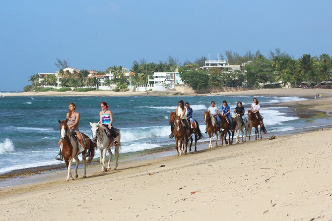 Horseback Riding through Secluded Beaches and Tropical Forests - FAQ