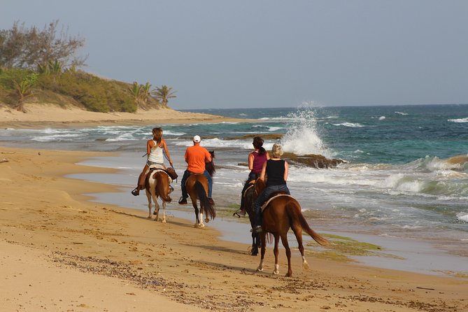 Horseback Riding Through Secluded Beaches and Tropical Forests - Horseback Riding Experiences