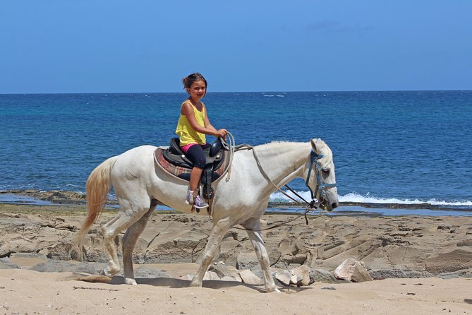Horseback Riding Through Secluded Beaches and Tropical Forests - Customer Reviews and Feedback