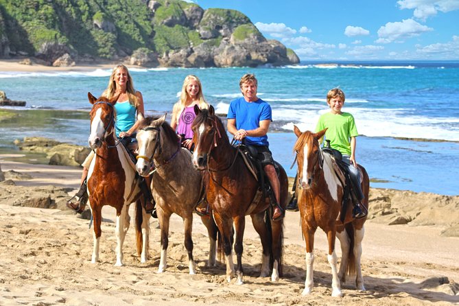 Horseback Riding Through Secluded Beaches and Tropical Forests - Scenery and Landscapes
