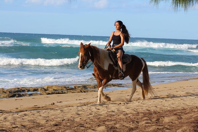 Horseback Riding Through Secluded Beaches and Tropical Forests - Guide Professionalism and Friendliness