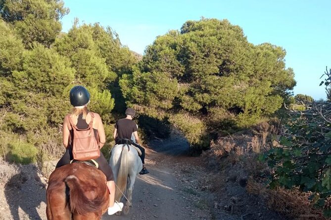 Horseback Riding Through the Calblanque Natural Park - Whats Included in the Tour