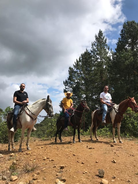 Horseback Riding Through the Mountains of Medellín - Experience Highlights