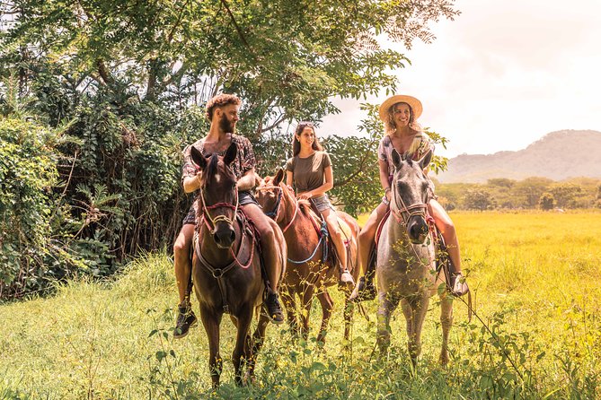 Horseback Riding to Conchal Beach From Tamarindo & Flamingo - Tour Details