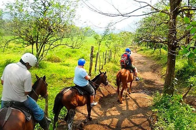 Horseback Riding to La Fortuna Waterfall - Meeting and Pickup Logistics
