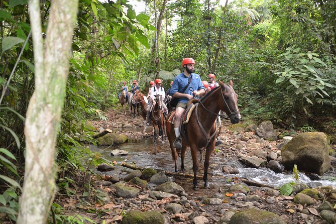 Horseback Riding to La Fortuna Waterfall - Scenic Trails and Jungle Life