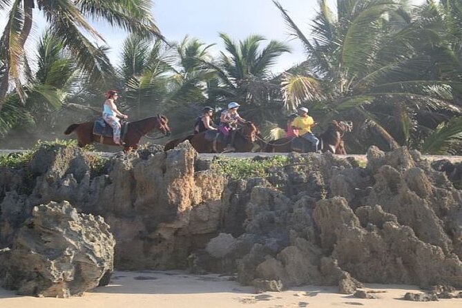 Horseback Riding to Maimon River From Punta Cana - About Your Stay