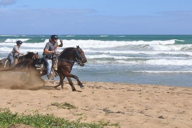 Horseback Riding to Maimon River From Punta Cana - Pickup Information