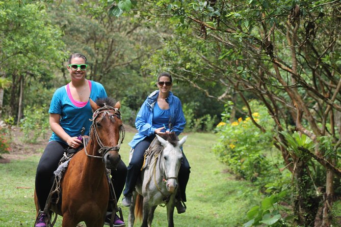 Horseback Riding Tour - Meeting and Pickup