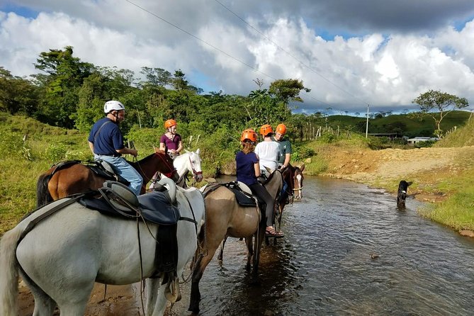 Horseback Riding Tour - Inclusions and Safety