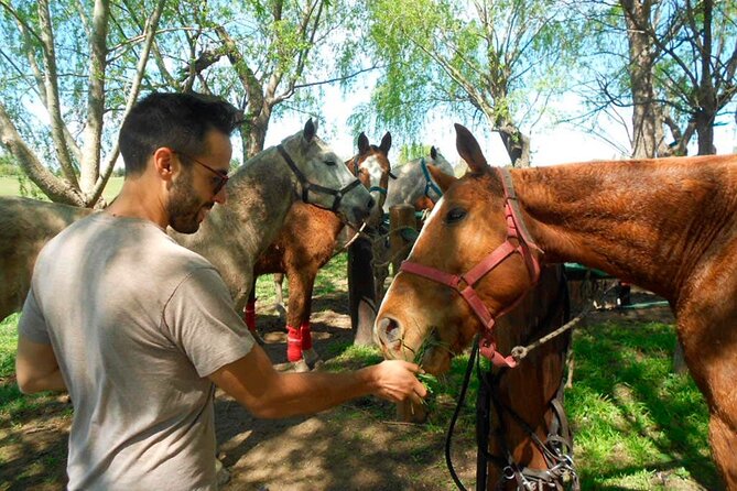 Horseback Riding Tour and Asado in Argentine Countryside - Itinerary Highlights