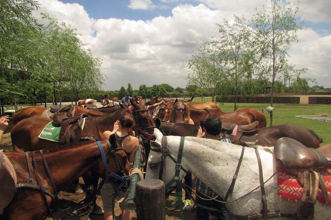 Horseback Riding Tour and Asado in Argentine Countryside - Savoring the Asado