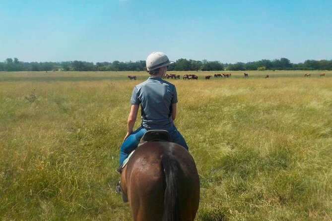 Horseback Riding Tour and Polo in Argentine Countryside - Tour Overview
