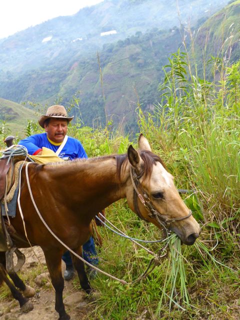Horseback Riding Tour and Visit to Tablón, Chaquira, Pelota - Itinerary and Highlights