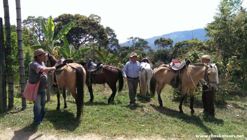 Horseback Riding Tour and Visit to Tablón, Chaquira, Pelota - Recap
