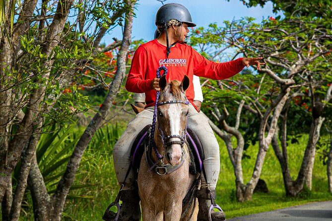 Horseback Riding Tour at Private Ranch - The Trail and Scenic Views