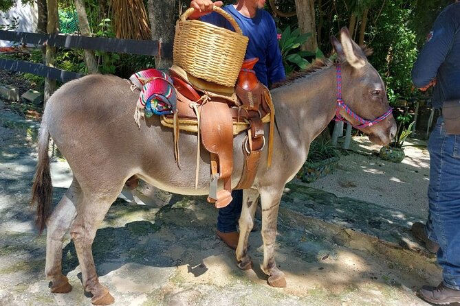 Horseback Riding Tour at Rancho Bonanza and Cenote Swim - Booking Policies