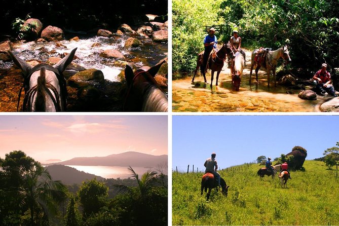 Horseback-Riding Tour From Paraty - Exploring Paratys Rainforests