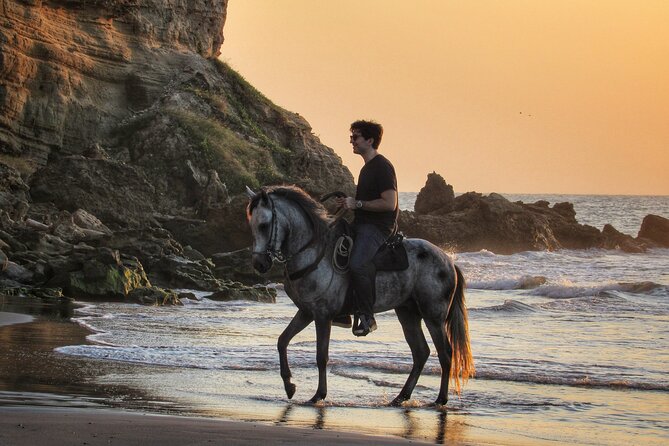 Horseback Riding Tour in a Colombian Paso Fino Horse - Scenic Beach Ride