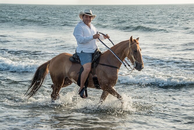 Horseback Riding Tour in a Colombian Paso Fino Horse - Health and Safety