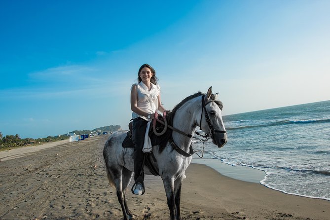 Horseback Riding Tour in Beach of Cartagena - Scenic Experience