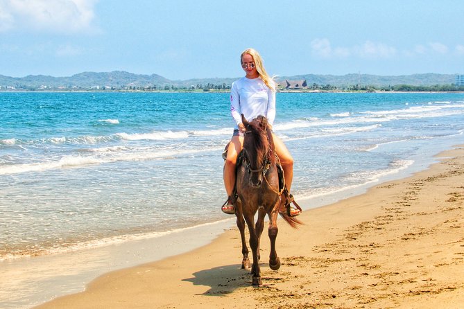 Horseback Riding Tour in Beach of Cartagena - Pricing and Booking
