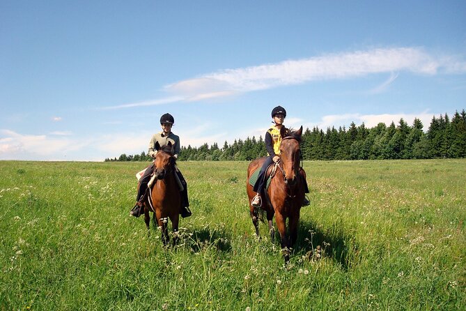 Horseback Riding Tour in Bohemian Switzerland - Logistics and Requirements