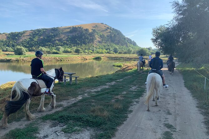 Horseback Riding Tour In Brasov - Ride Through Fields, Forests & Hills - Pickup and Meeting Point