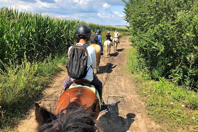 Horseback Riding Tour In Brasov - Ride Through Fields, Forests & Hills - Horseback Riding Experience