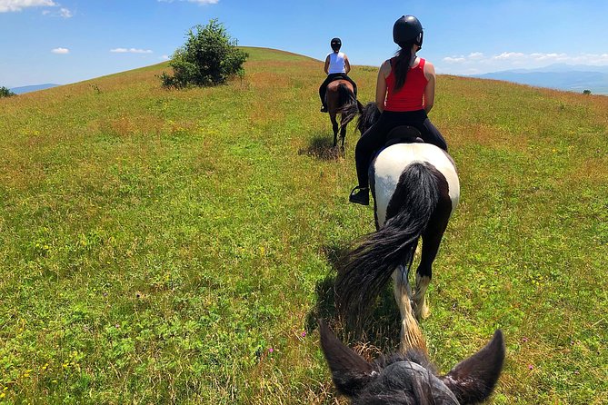 Horseback Riding Tour In Brasov - Ride Through Fields, Forests & Hills - Traditional Romanian Cuisine