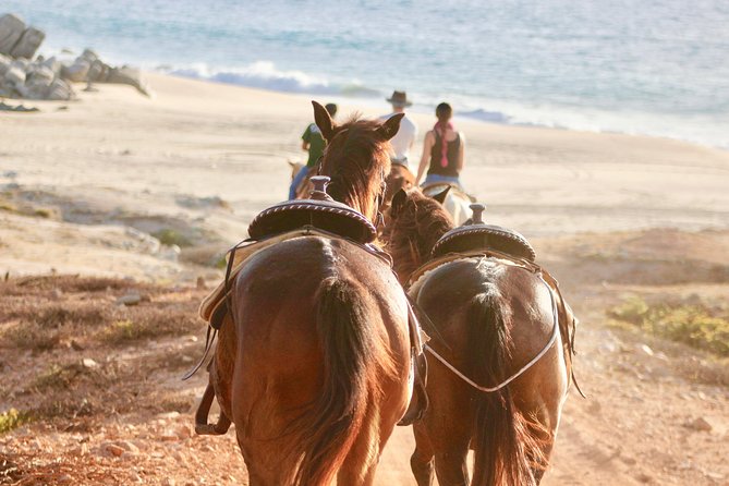 Horseback Riding Tour in Cabo San Lucas - Inclusions