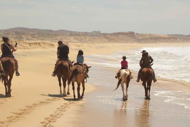 Horseback Riding Tour in Cabo San Lucas - Horse Orientation