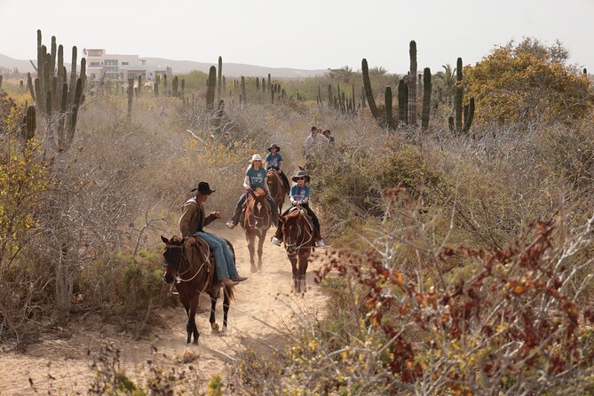 Horseback Riding Tour in Cabo San Lucas - Pacific Coast Exploration