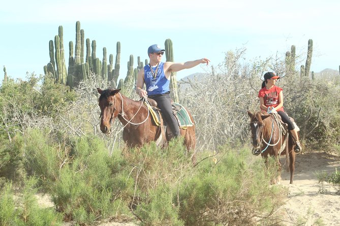 Horseback Riding Tour in Cabo San Lucas - Photography Opportunities